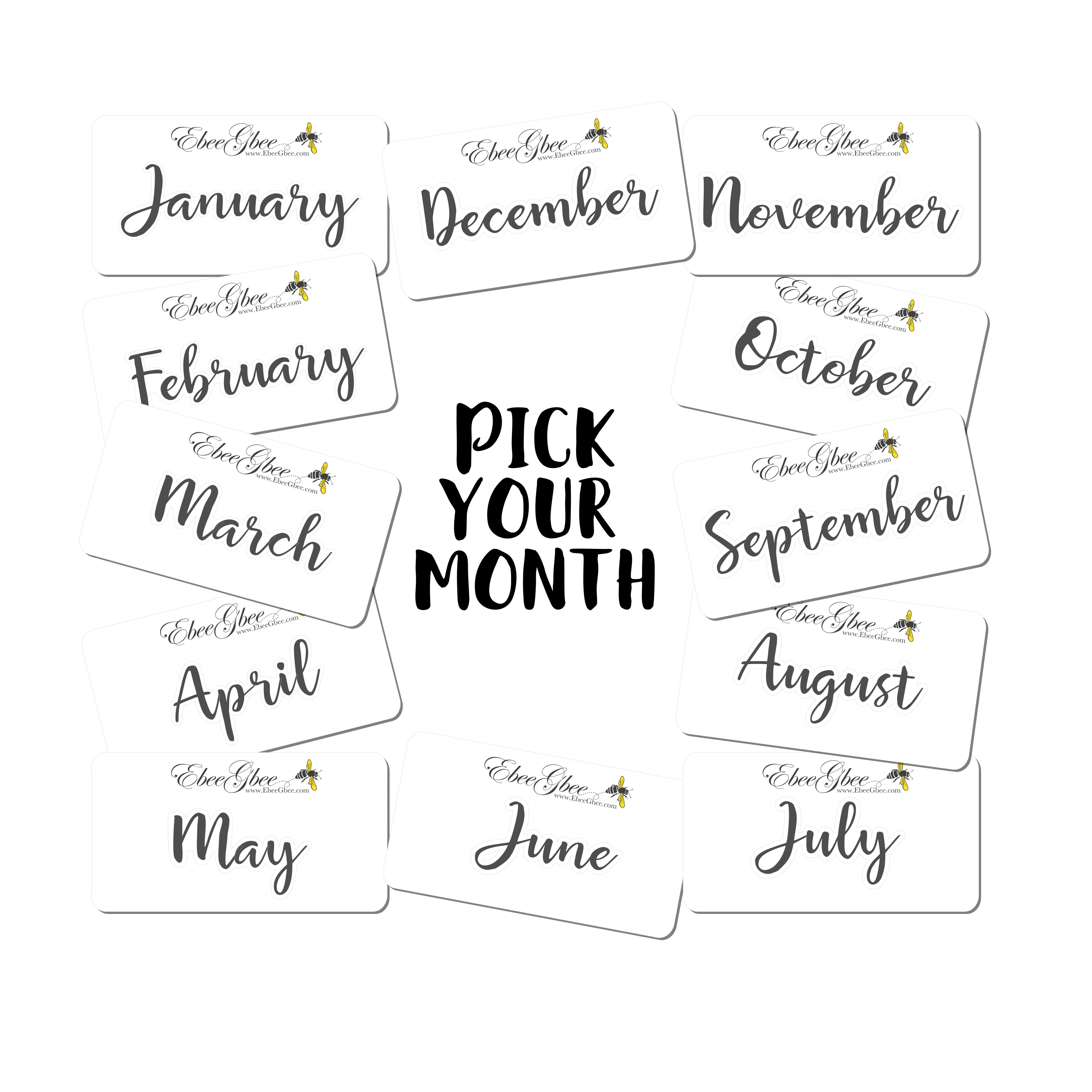FEATHER MONTHLY Layout Planner Stickers | You Pick Your Month | Rose Bougainvillea
