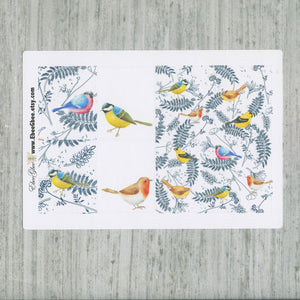 LITTLE BIRD WEEKLY Planner Sticker Set | Midnight Teal Lemon