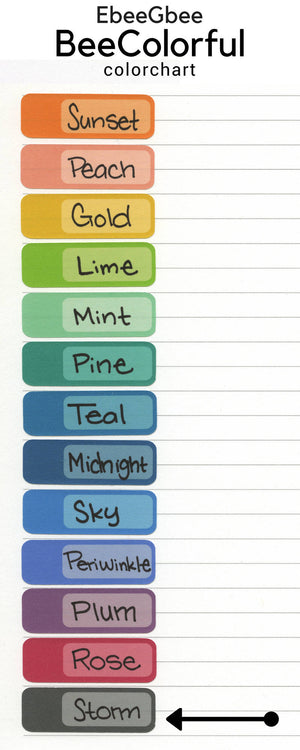STORM TO DO Planner Stickers |  BeeColorful